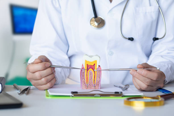 Best Urgent Tooth Repair  in Rupert, WV